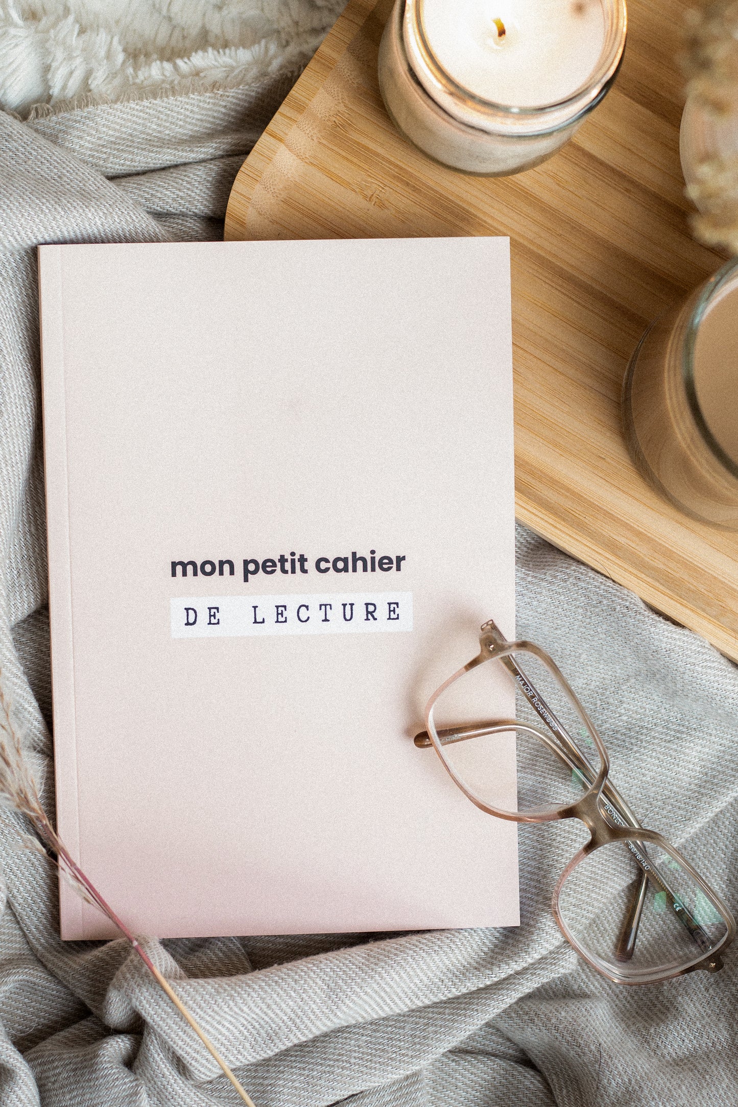 Mon petit cahier de lecture